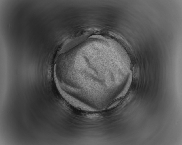 X0000087310669200705112118