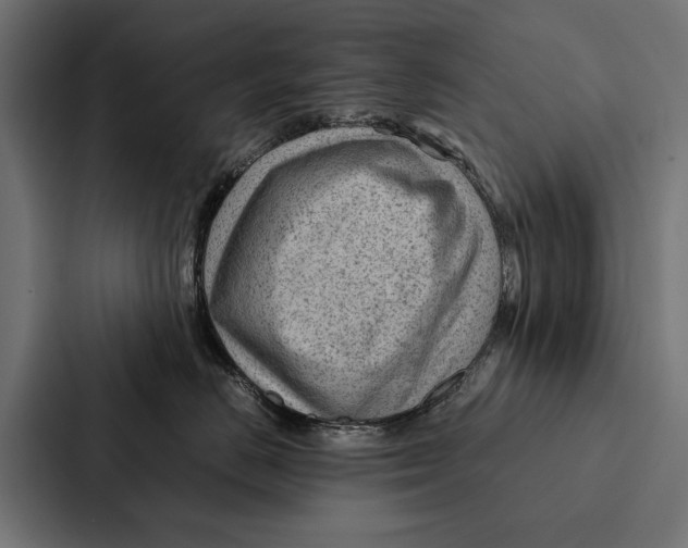 X0000087310670200705112118