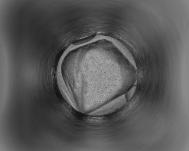 X0000087310671200705112118