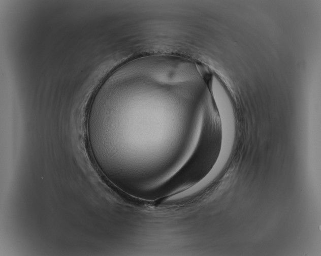 X0000087310673200705112117