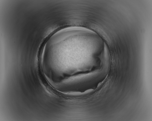 X0000087310674200705112117