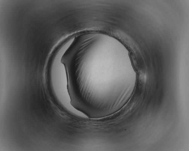 X0000087310676200705112117