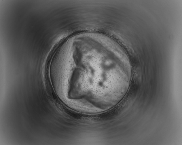 X0000087310679200705112117