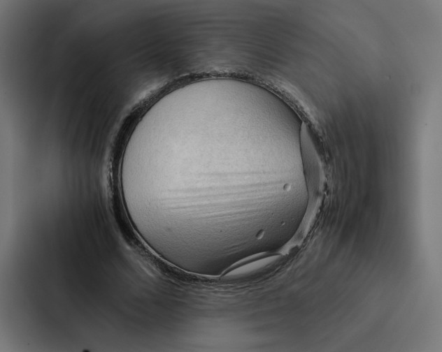 X0000087310680200705112117