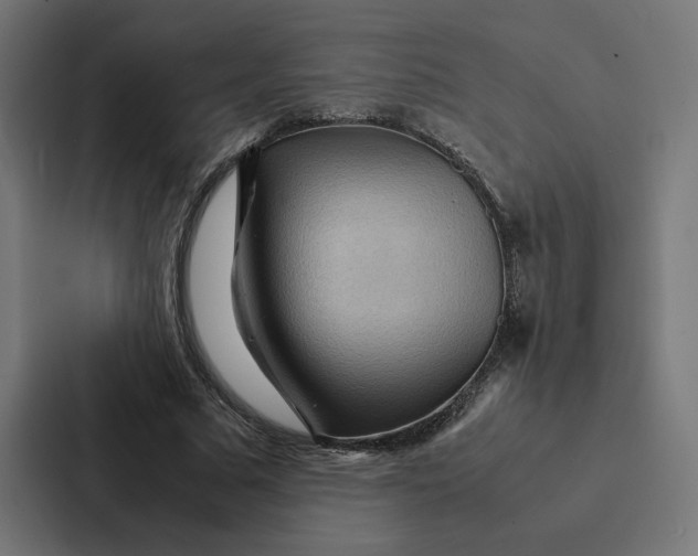 X0000087310681200705112117