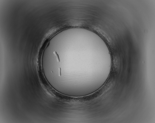 X0000087310682200705112117