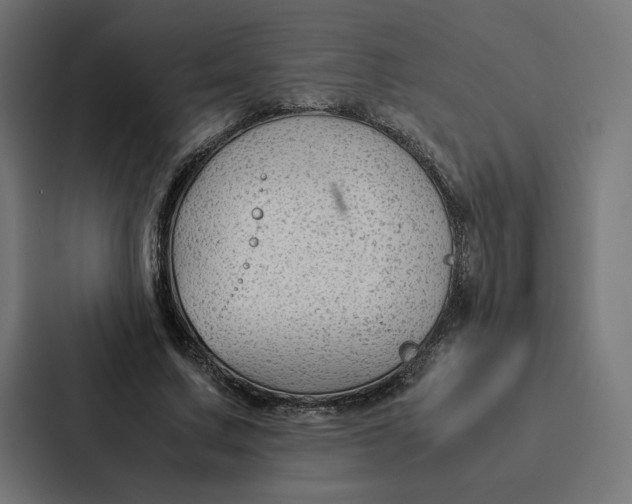 X0000087310683200705112117