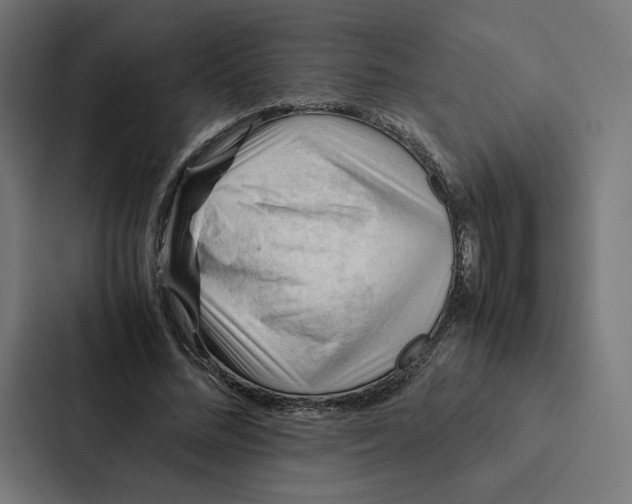 X0000087310684200705112117