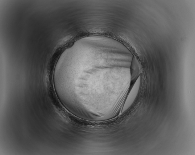 X0000087310688200705112117