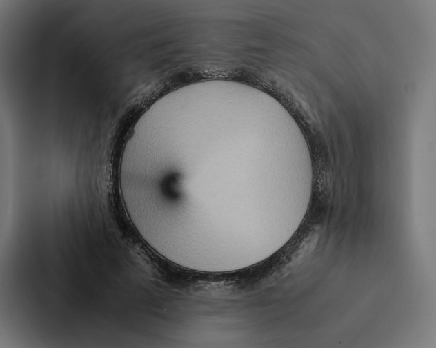 X0000087310689200705112117