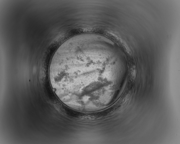 X0000087310691200705112117