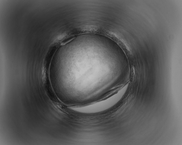 X0000087310692200705112117