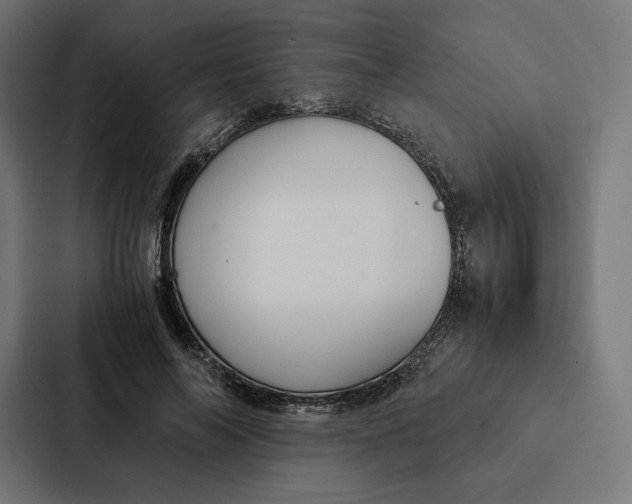 X0000087310694200705112117