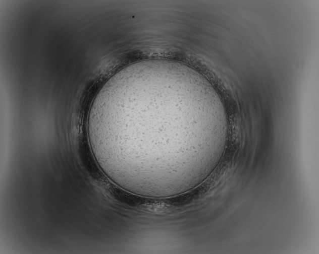 X0000087310695200705112117