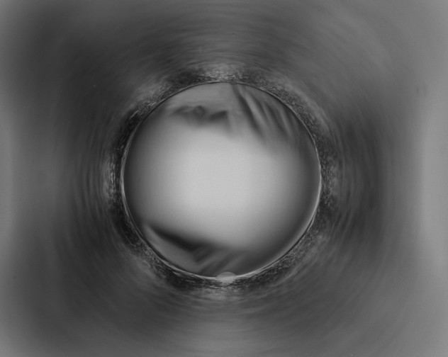 X0000087310696200705112117