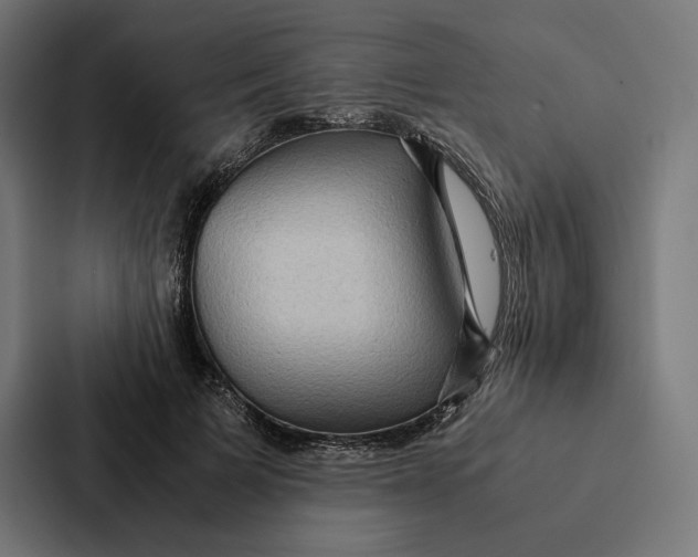 X0000087310697200705112117