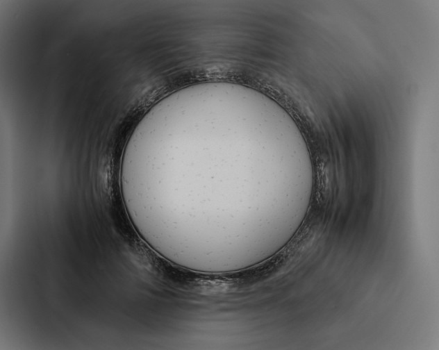 X0000087310698200705112117