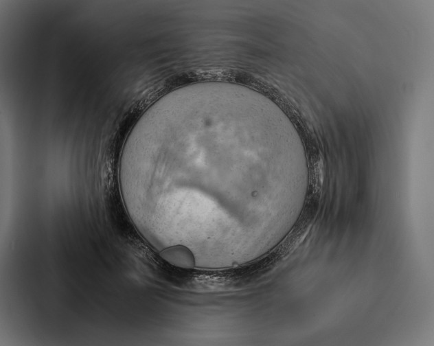 X0000087310699200705112117