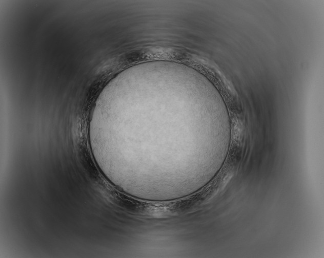 X0000087310701200705112117