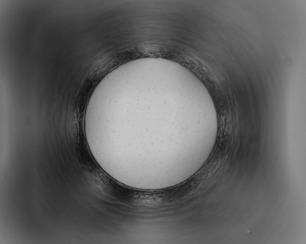 X0000087310702200705112117