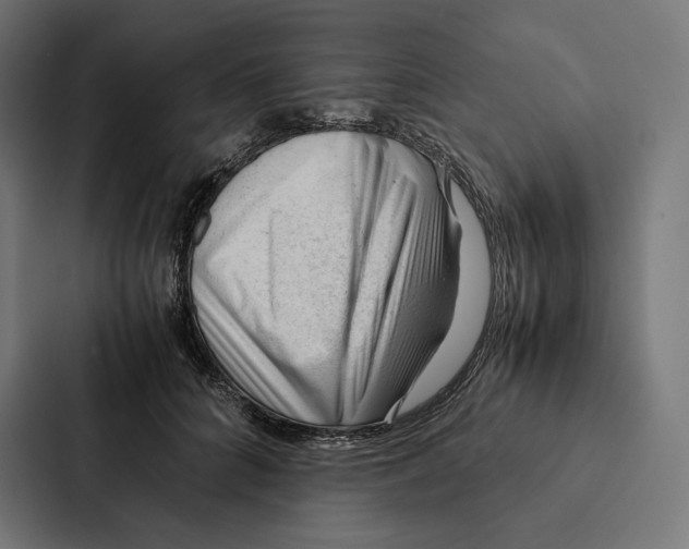 X0000087310704200705112117