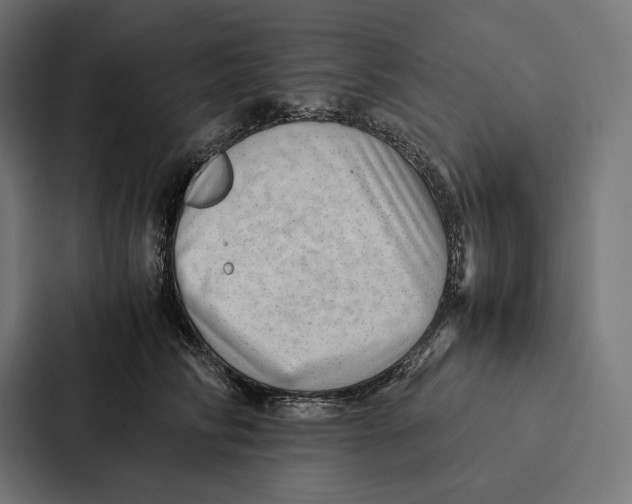 X0000087310710200705112117