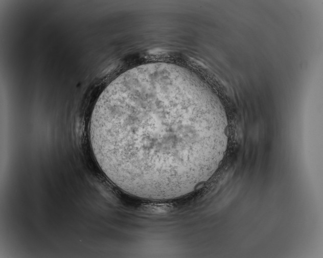 X0000087310711200705112117