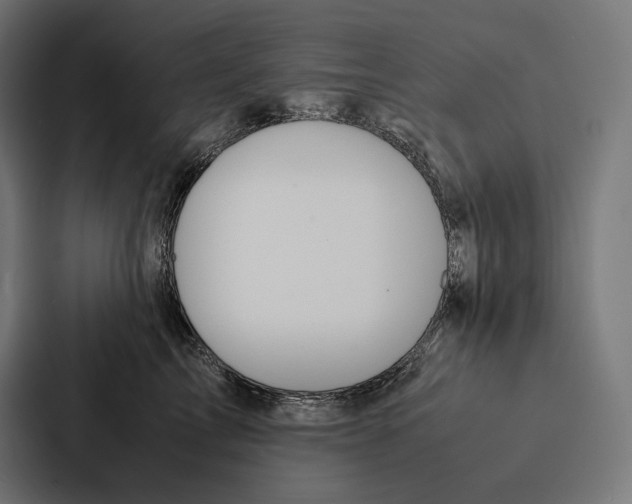 X0000087310713200705112117