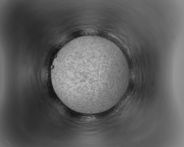 X0000087310715200705112117