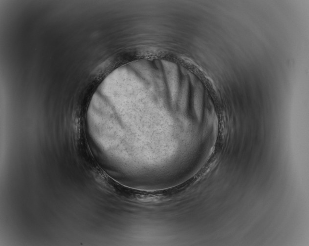 X0000087310716200705112117