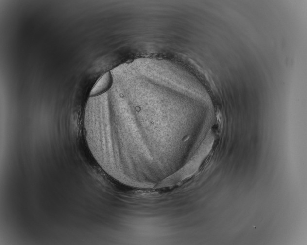 X0000087310719200705112117