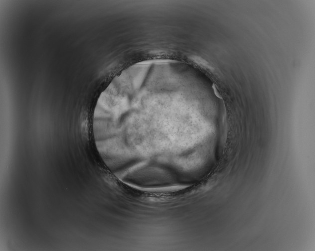 X0000087310720200705112117