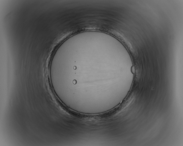 X0000087310721200705112116