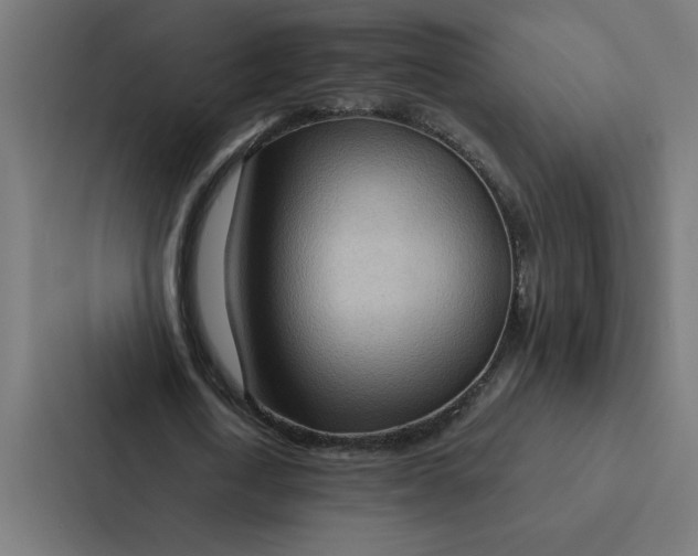 X0000087310722200705112116