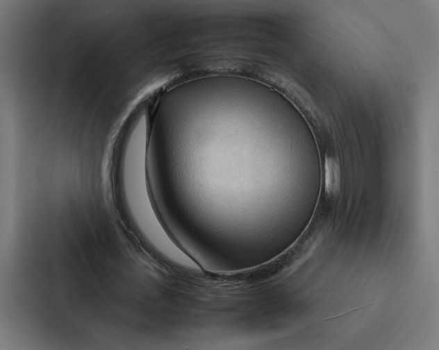 X0000087310723200705112116