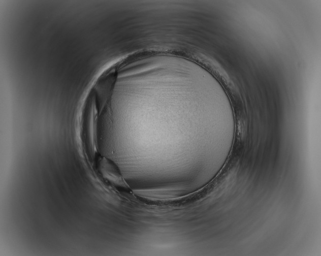 X0000087310724200705112116