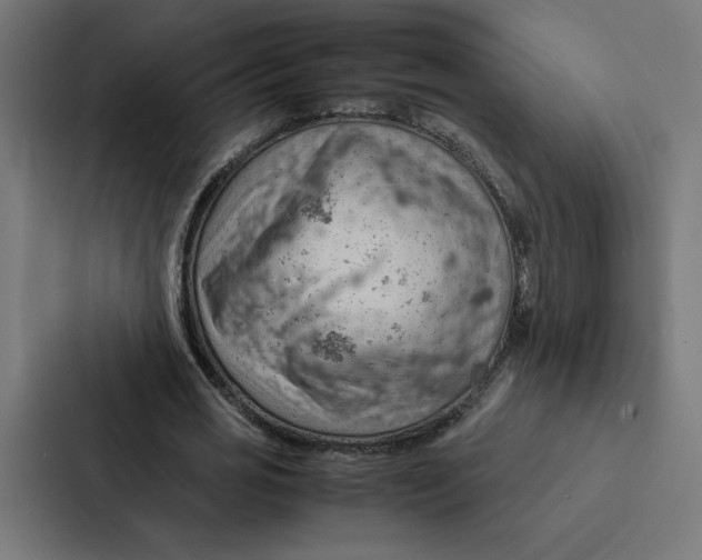 X0000087310725200705112116