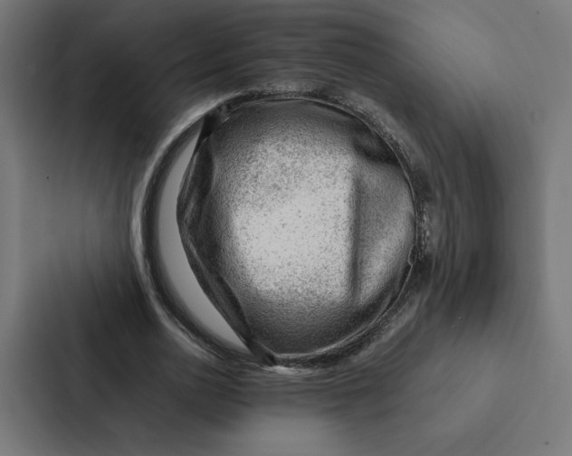 X0000087310726200705112116