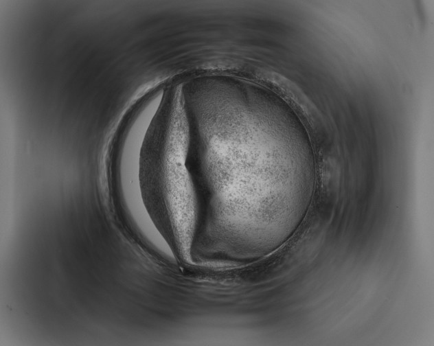 X0000087310727200705112116