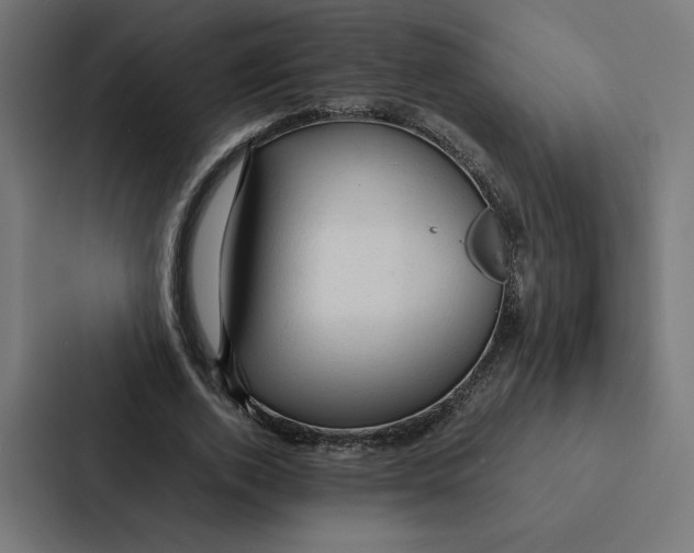 X0000087310728200705112116