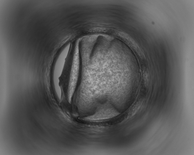 X0000087310729200705112116