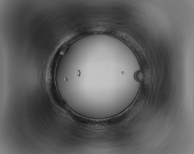 X0000087310731200705112116