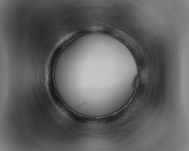 X0000087310732200705112116