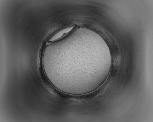 X0000087310733200705112116