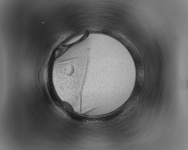 X0000087310734200705112116