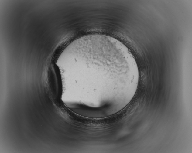 X0000087310735200705112116