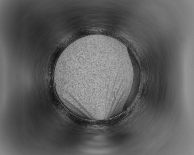 X0000087310737200705112116