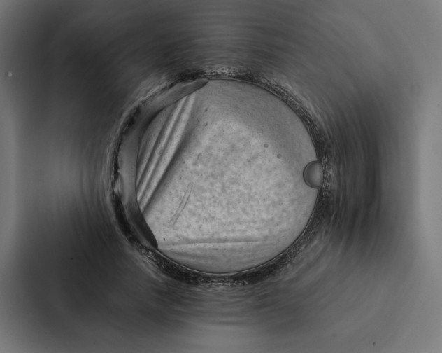 X0000087310738200705112116