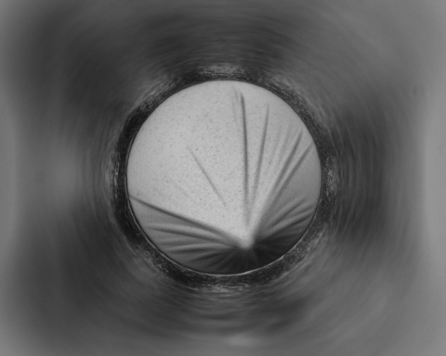 X0000087310739200705112116