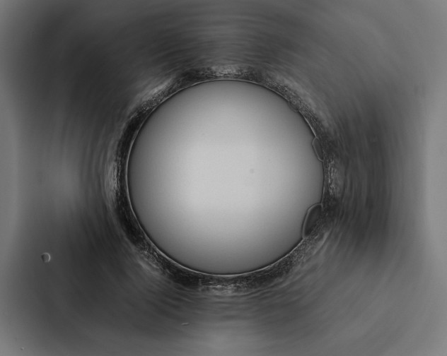 X0000087310740200705112116